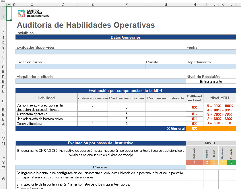 Formatos Excel